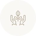 Hands holding a growing plant icon representing sustainability, growth, and environmental care.