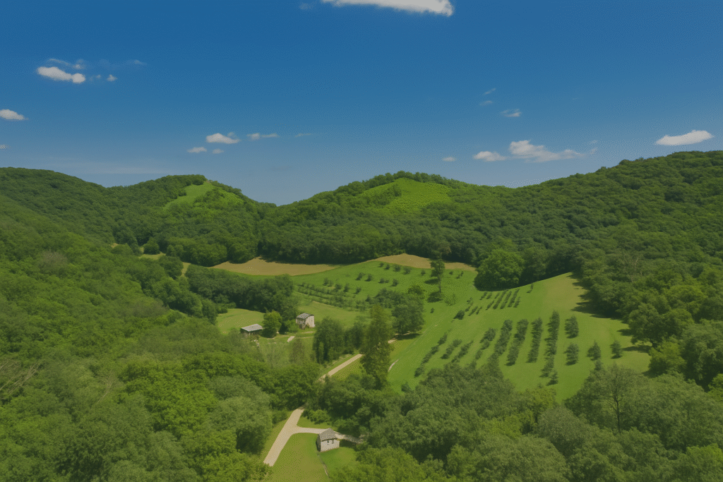 Factors that Affect Land Value