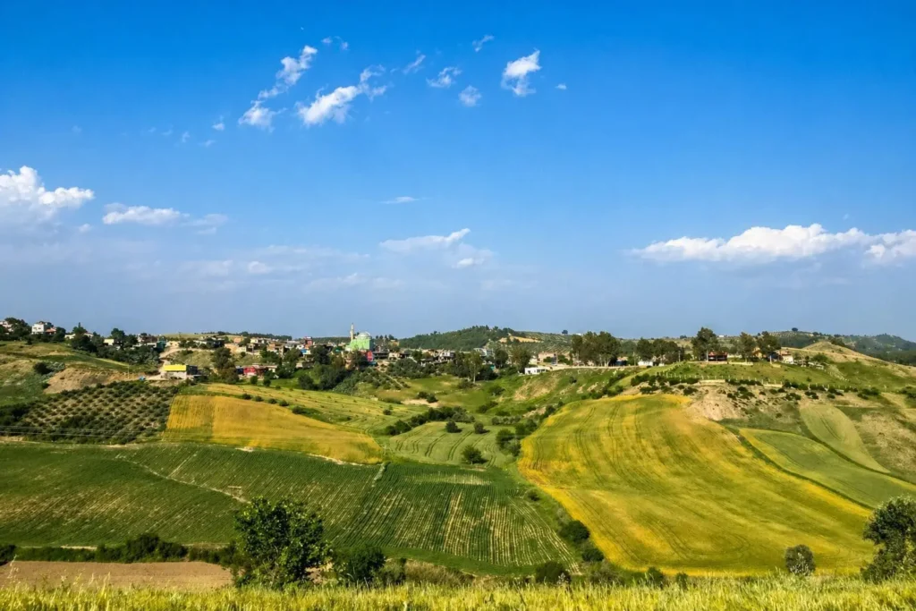 What Buyers Look for When Evaluating Rural Land