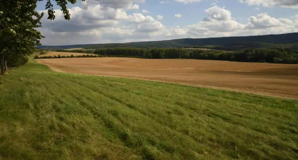 How Easements & Access Rights Affect Your Land’s Value