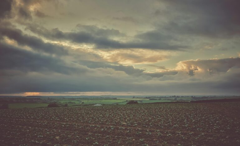 ⁠Raw Land vs Improved Land