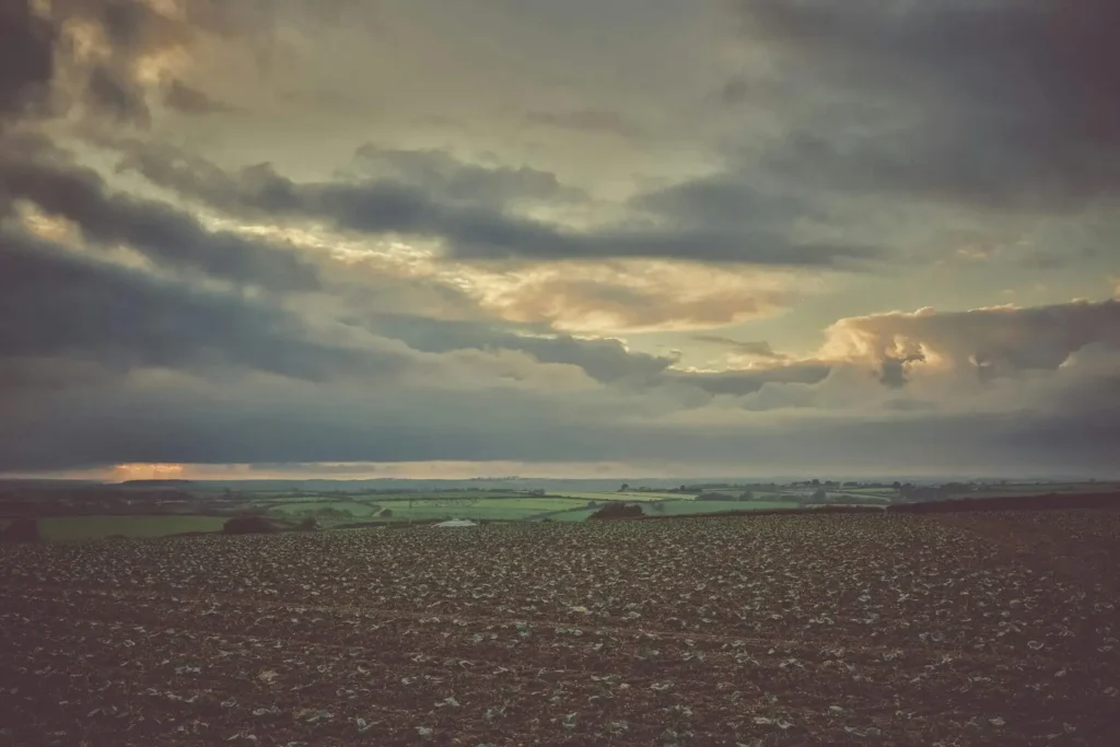 ⁠Raw Land vs Improved Land