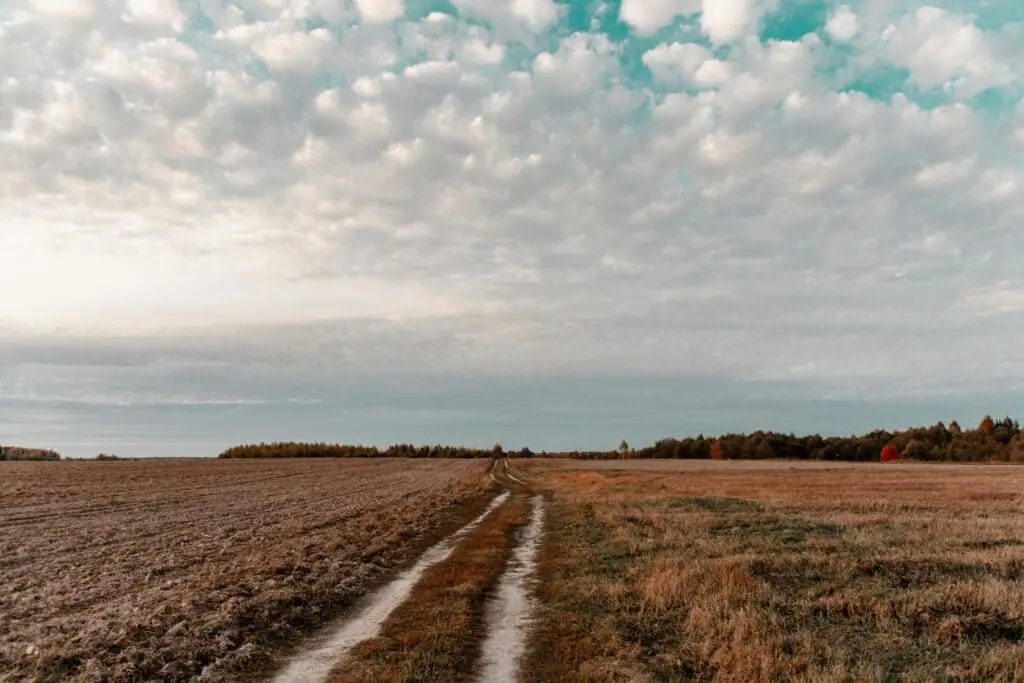 The Hidden Costs of Holding Land Too Long