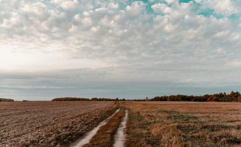 The Hidden Costs of Holding Land Too Long