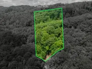 Aerial view of wooded land parcel with highlighted property boundaries showing lot lines and land ownership limits