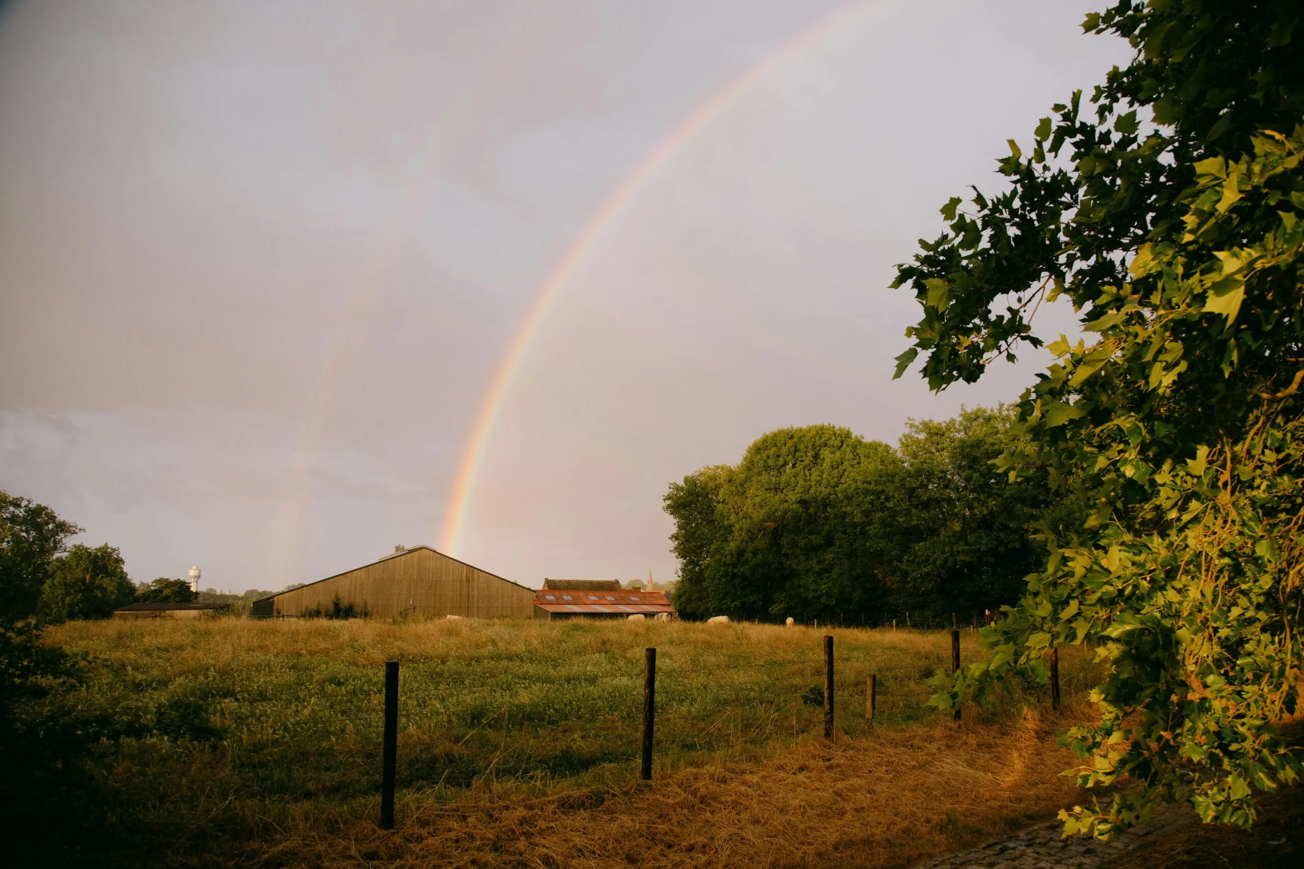 Rainbow over rural farmland with barn, trees, and grassy field at sunset